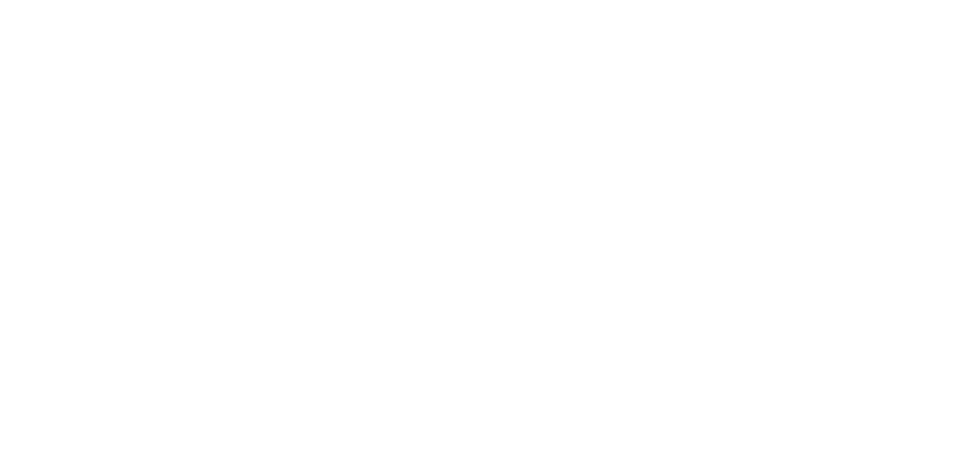 the local painter logo upscaled white